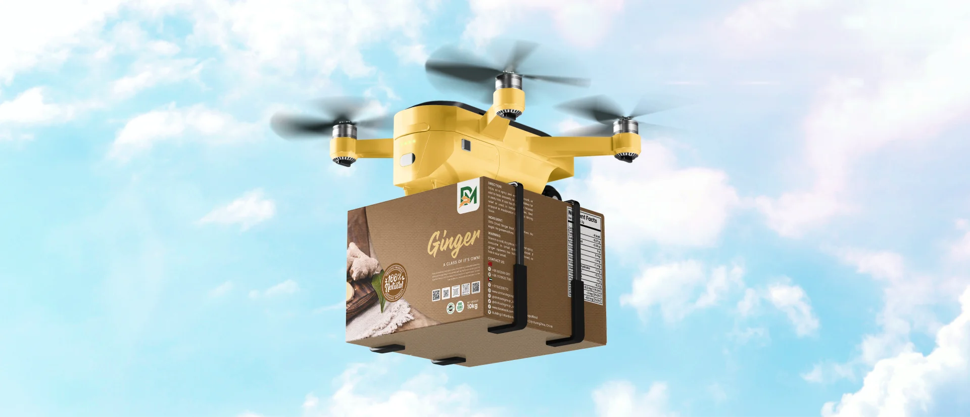 Case Study Detail Image